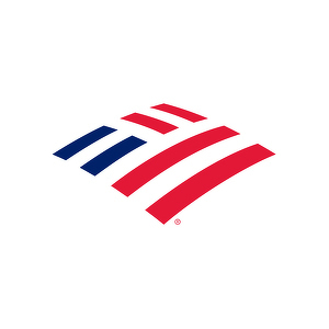 Team Page: Bank of America - Payment and Merchant Tech